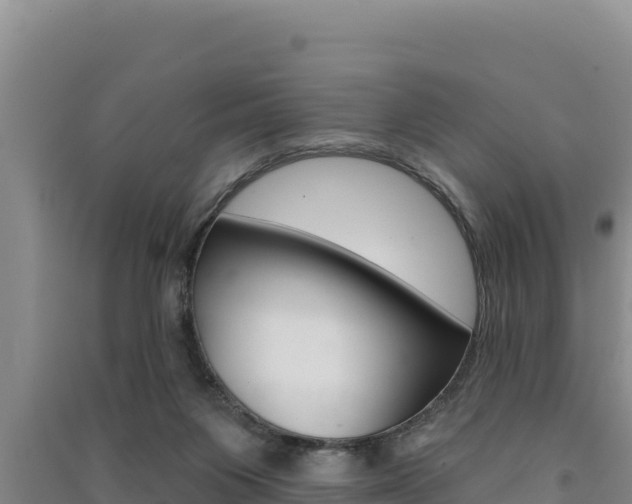 X0000091560119200708171109