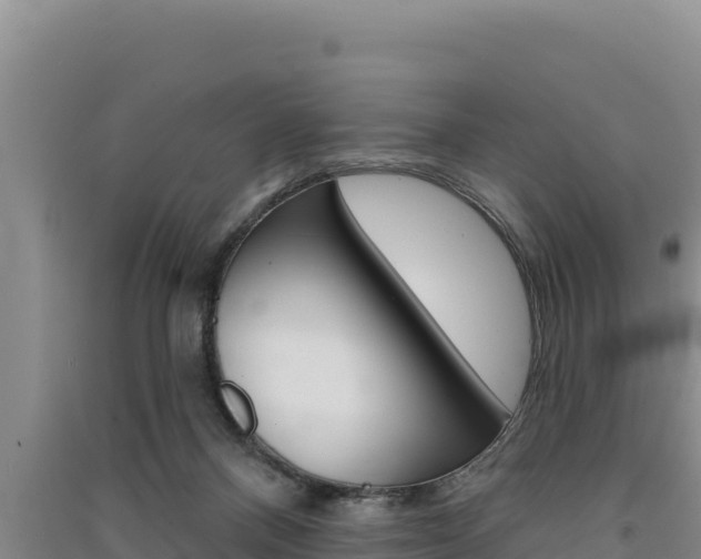 X0000091560120200708171109