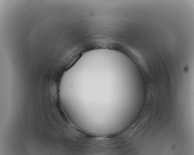 X0000091560121200708171109