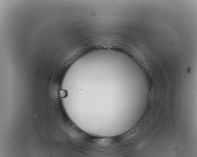 X0000091560122200708171109