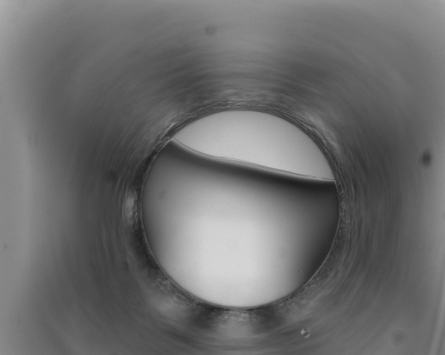 X0000091560123200708171109