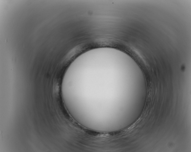 X0000091560124200708171109