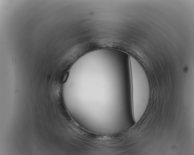 X0000091560125200708171109