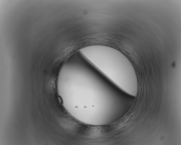 X0000091560127200708171109