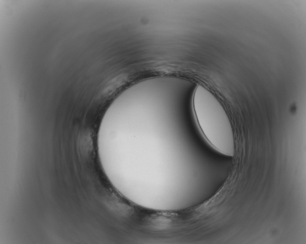 X0000091560128200708171109