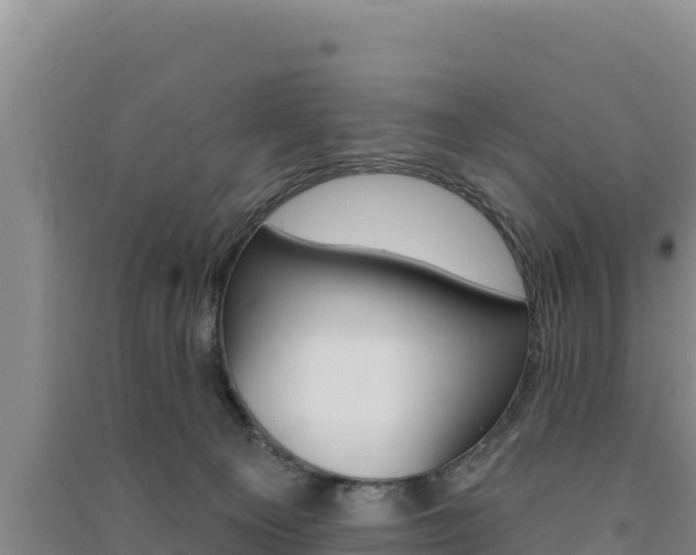 X0000091560129200708171109