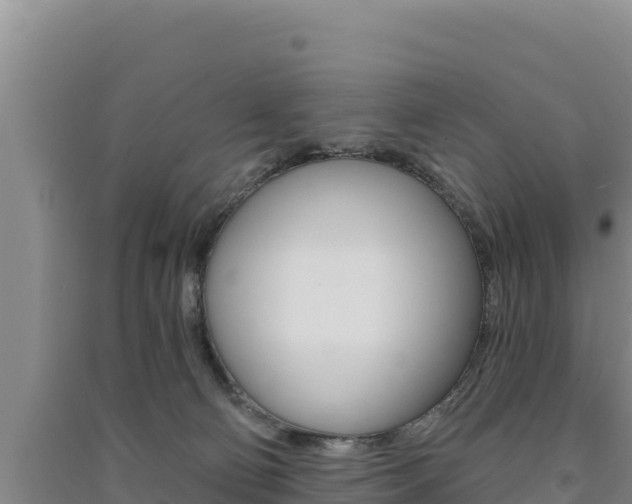 X0000091560130200708171109