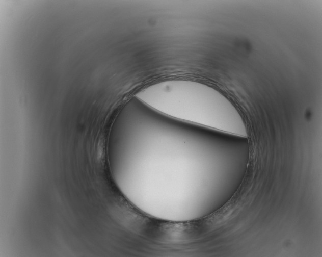 X0000091560131200708171109