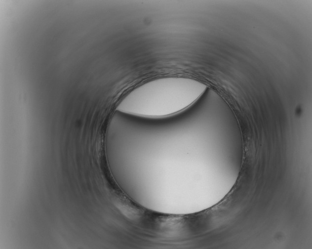 X0000091560132200708171109