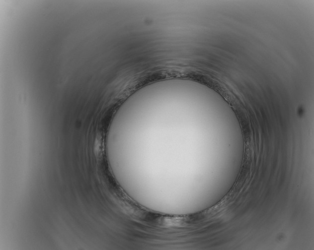 X0000091560134200708171109