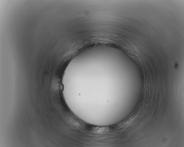 X0000091560135200708171109