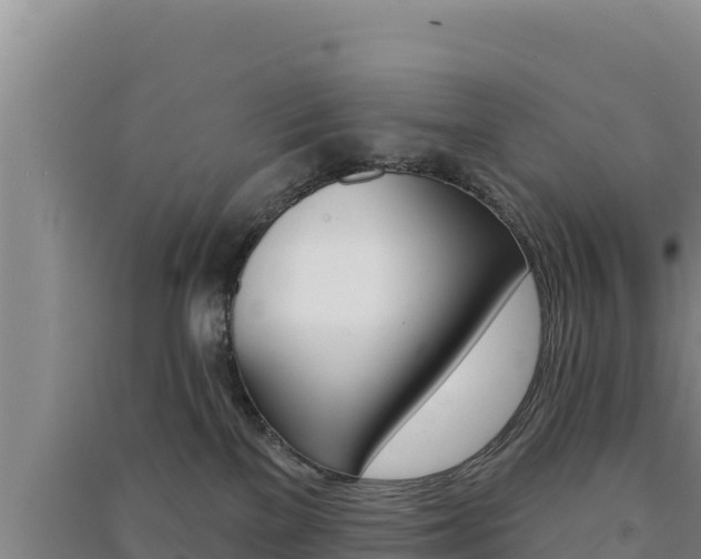 X0000091560137200708171109