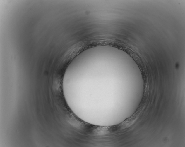 X0000091560138200708171109