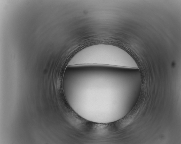 X0000091560139200708171109