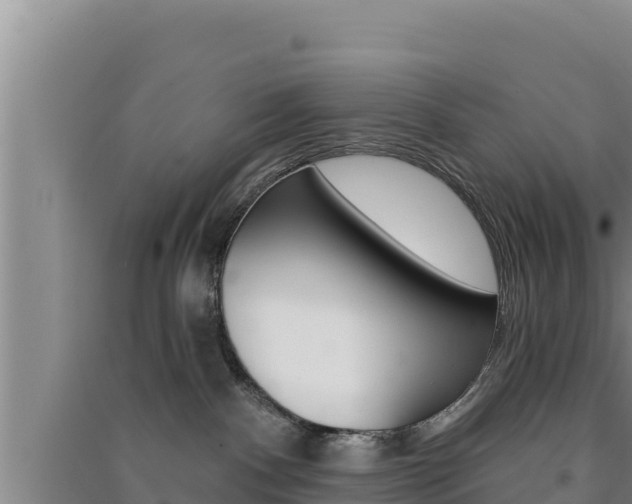 X0000091560140200708171109