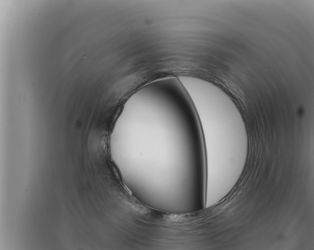 X0000091560141200708171109