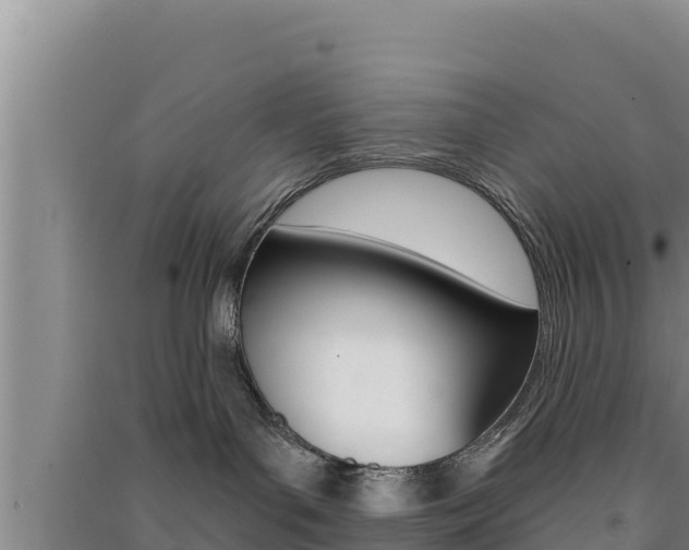 X0000091560143200708171109