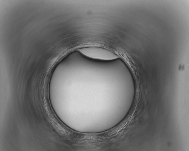 X0000091560145200708171108