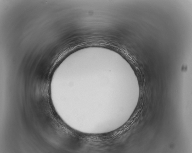 X0000091560146200708171108