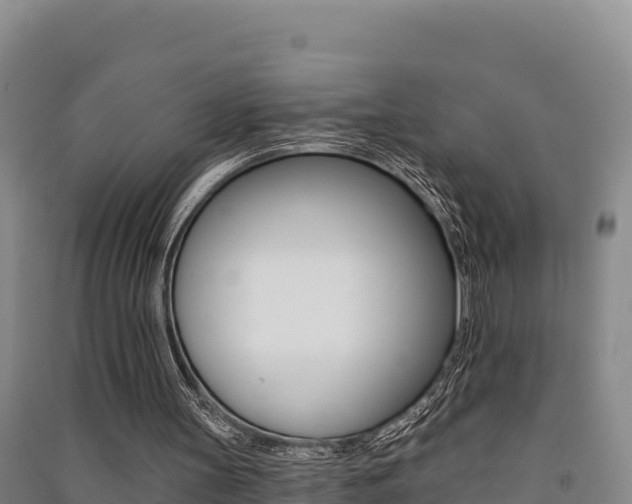 X0000091560147200708171108