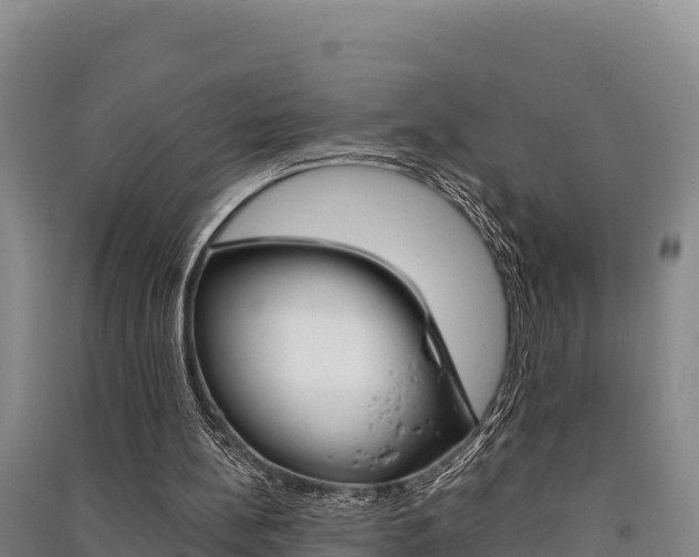 X0000091560148200708171108