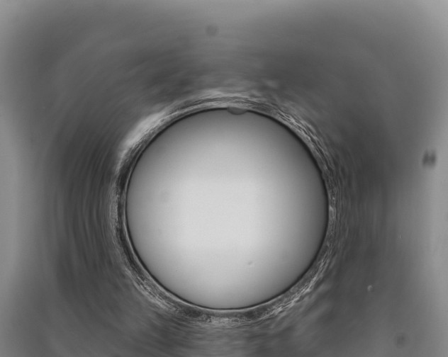 X0000091560149200708171108