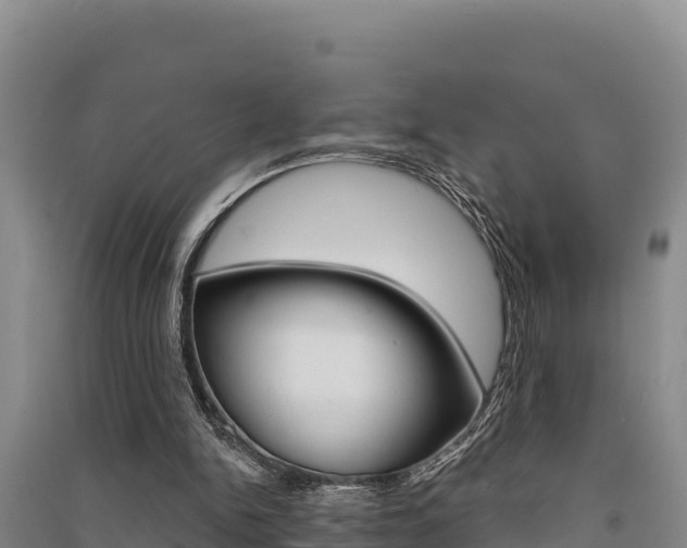 X0000091560150200708171108