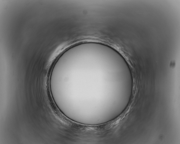 X0000091560151200708171108