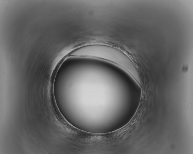 X0000091560152200708171108