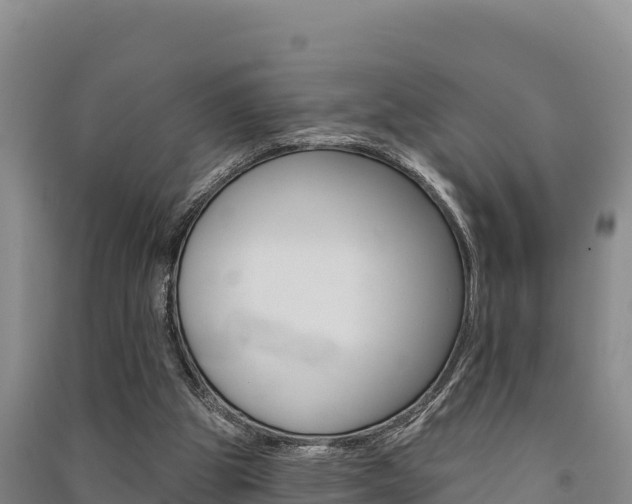 X0000091560153200708171108