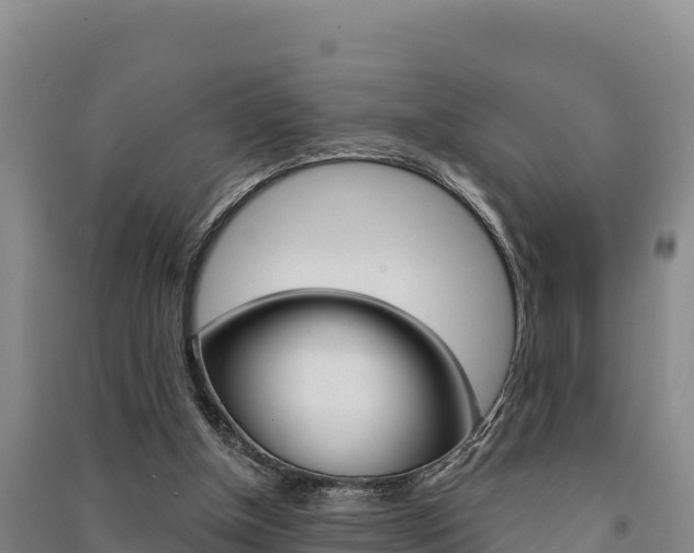 X0000091560154200708171108