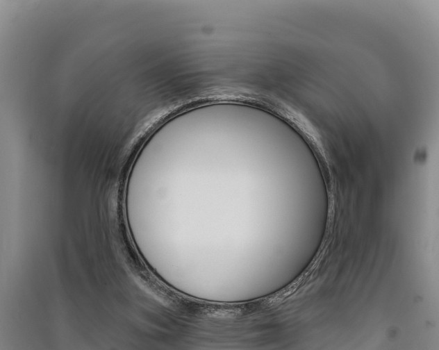 X0000091560155200708171108