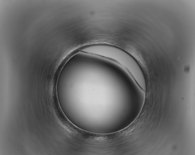 X0000091560156200708171108