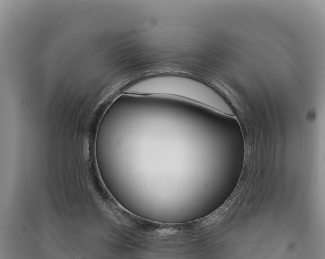 X0000091560158200708171108