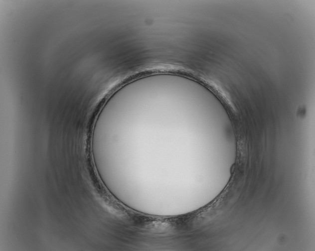 X0000091560159200708171108