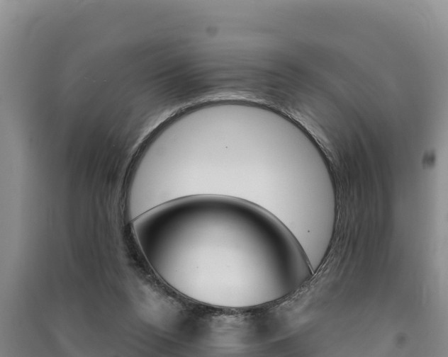 X0000091560160200708171108