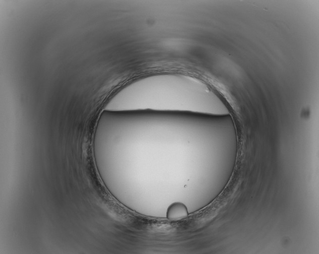 X0000091560161200708171108