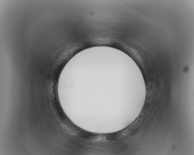 X0000091560162200708171108