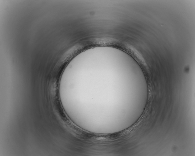 X0000091560163200708171108