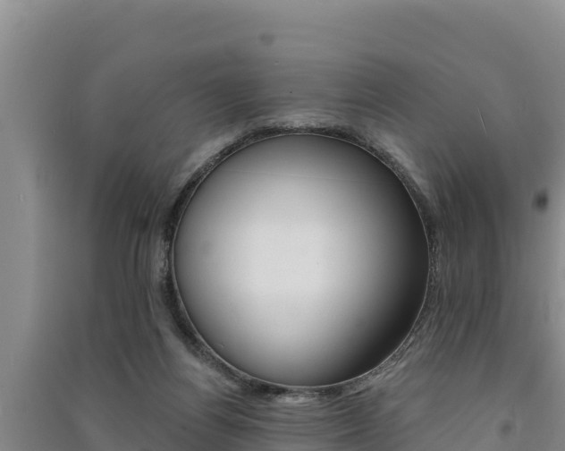 X0000091560164200708171108