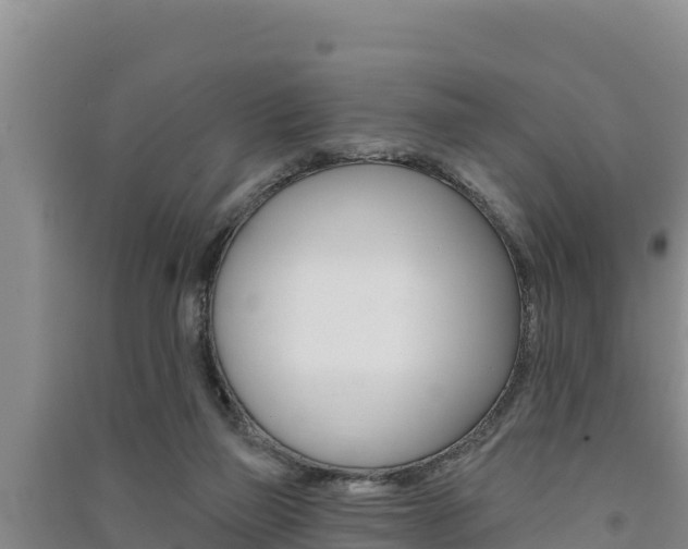 X0000091560165200708171108