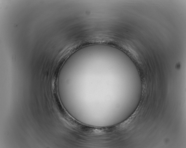 X0000091560166200708171108