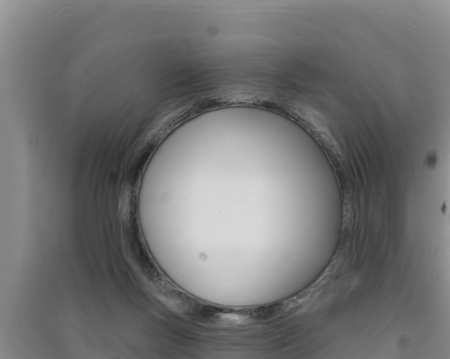 X0000091560167200708171108