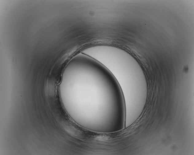 X0000091560168200708171108