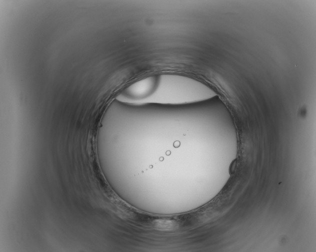 X0000091560169200708171108