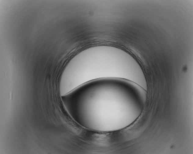 X0000091560170200708171108