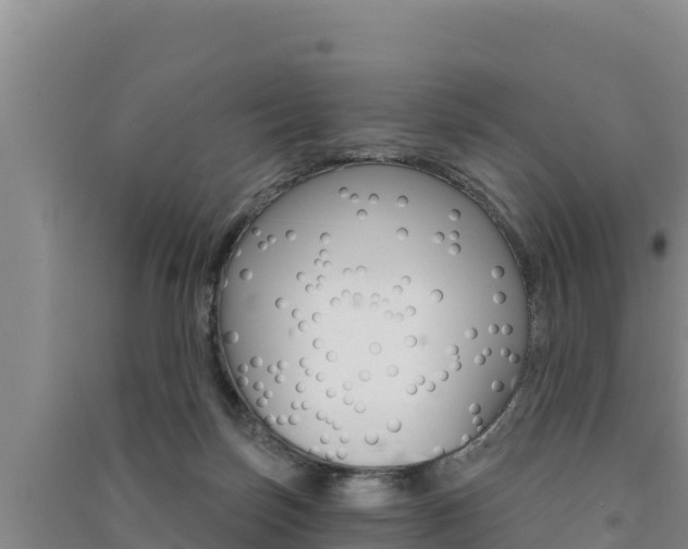 X0000091560171200708171108