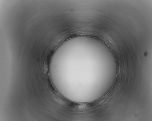 X0000091560173200708171109