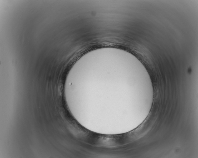 X0000091560174200708171109