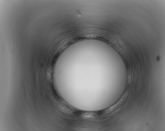 X0000091560175200708171109